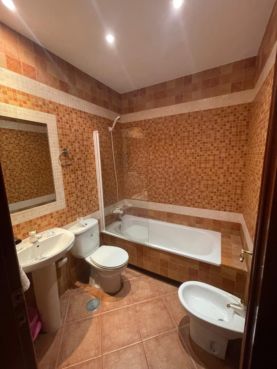 Shower, Toilet, Bathroom, Bath, bidet, towels
