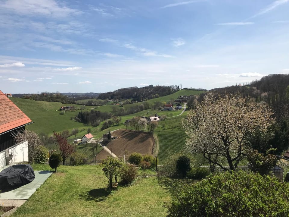 Natural landscape, Garden, Garden view, Mountain view