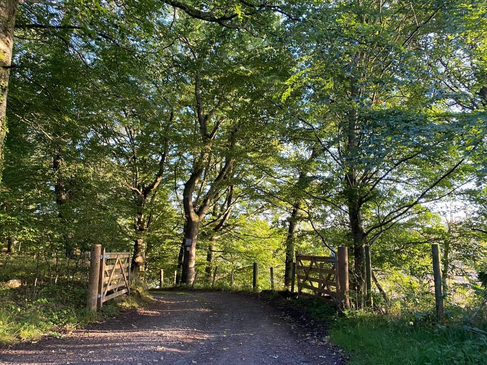Natural landscape
