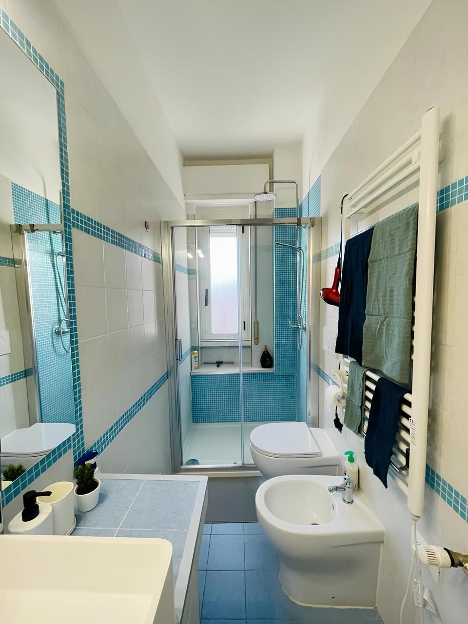 Shower, Toilet, Bathroom, bidet