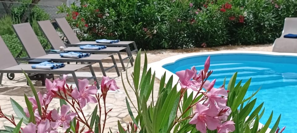 Day, Swimming pool, sunbed