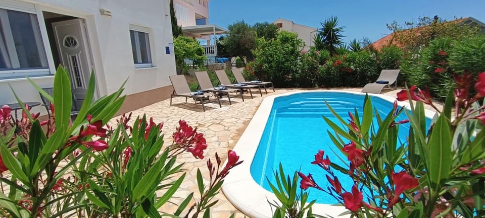 Day, Swimming pool