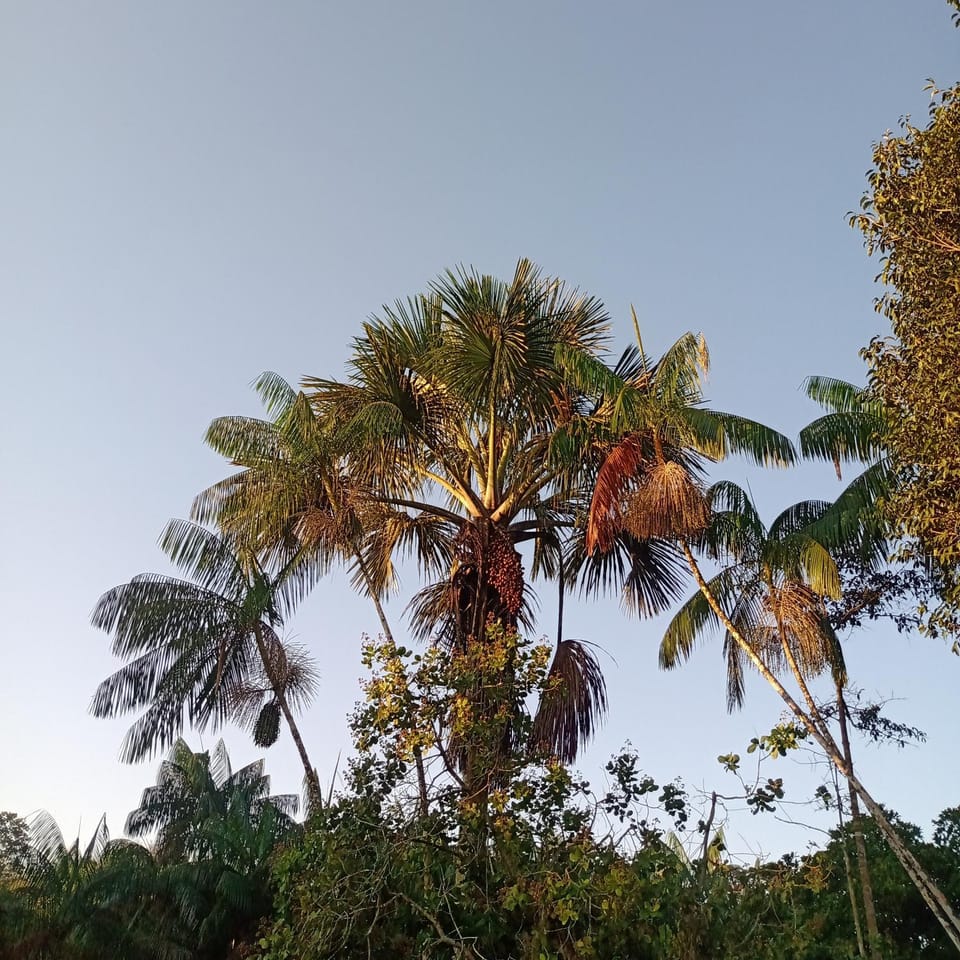 Natural landscape