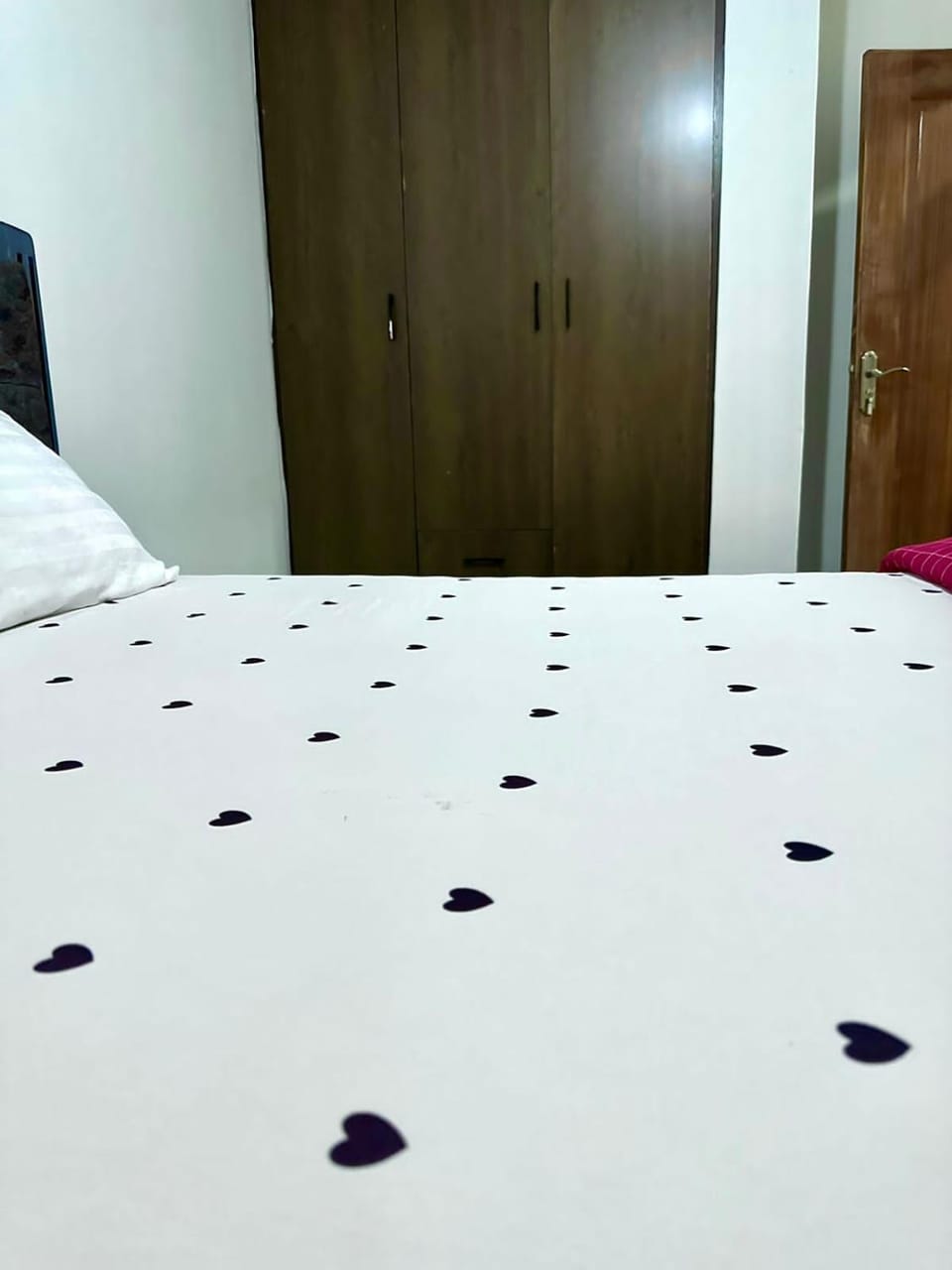 Stelvic Luxurious 1 bedroom Airbnb Thika Bed and Breakfast in Kenya