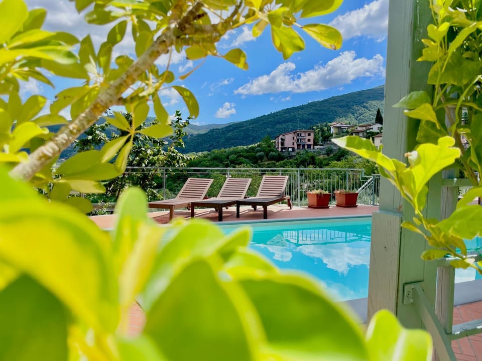 Natural landscape, Pool view, Swimming pool, sunbed