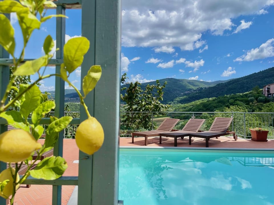 Property building, Spring, Day, Garden view, Swimming pool, sunbed