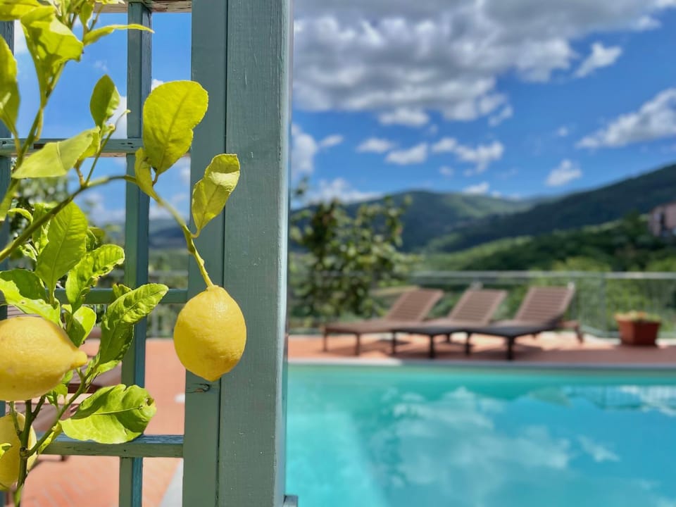 Pool view, Swimming pool