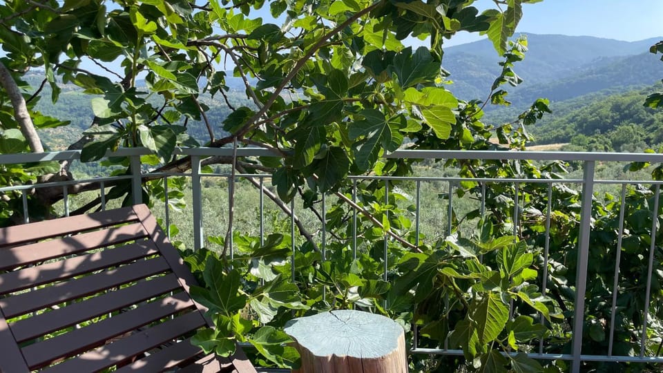 Day, Natural landscape, Garden, Balcony/Terrace, Mountain view