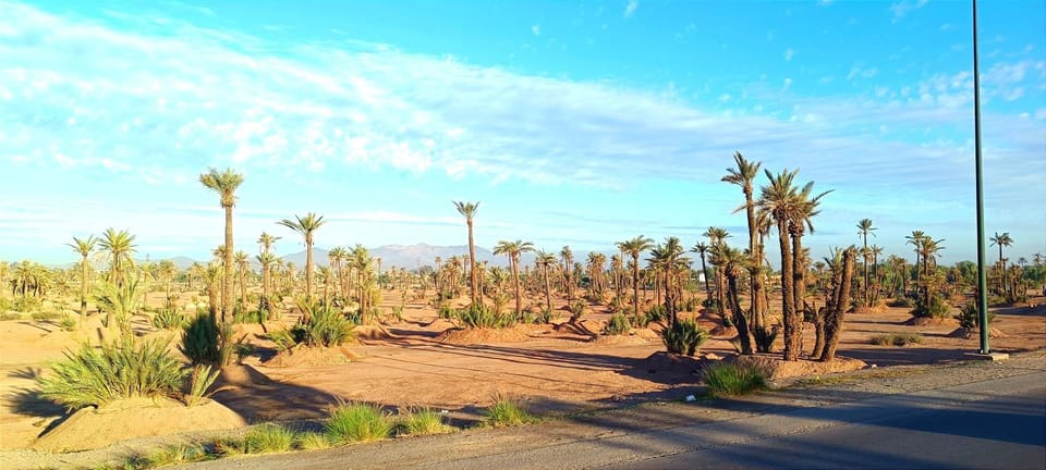 Day, Neighbourhood, Natural landscape