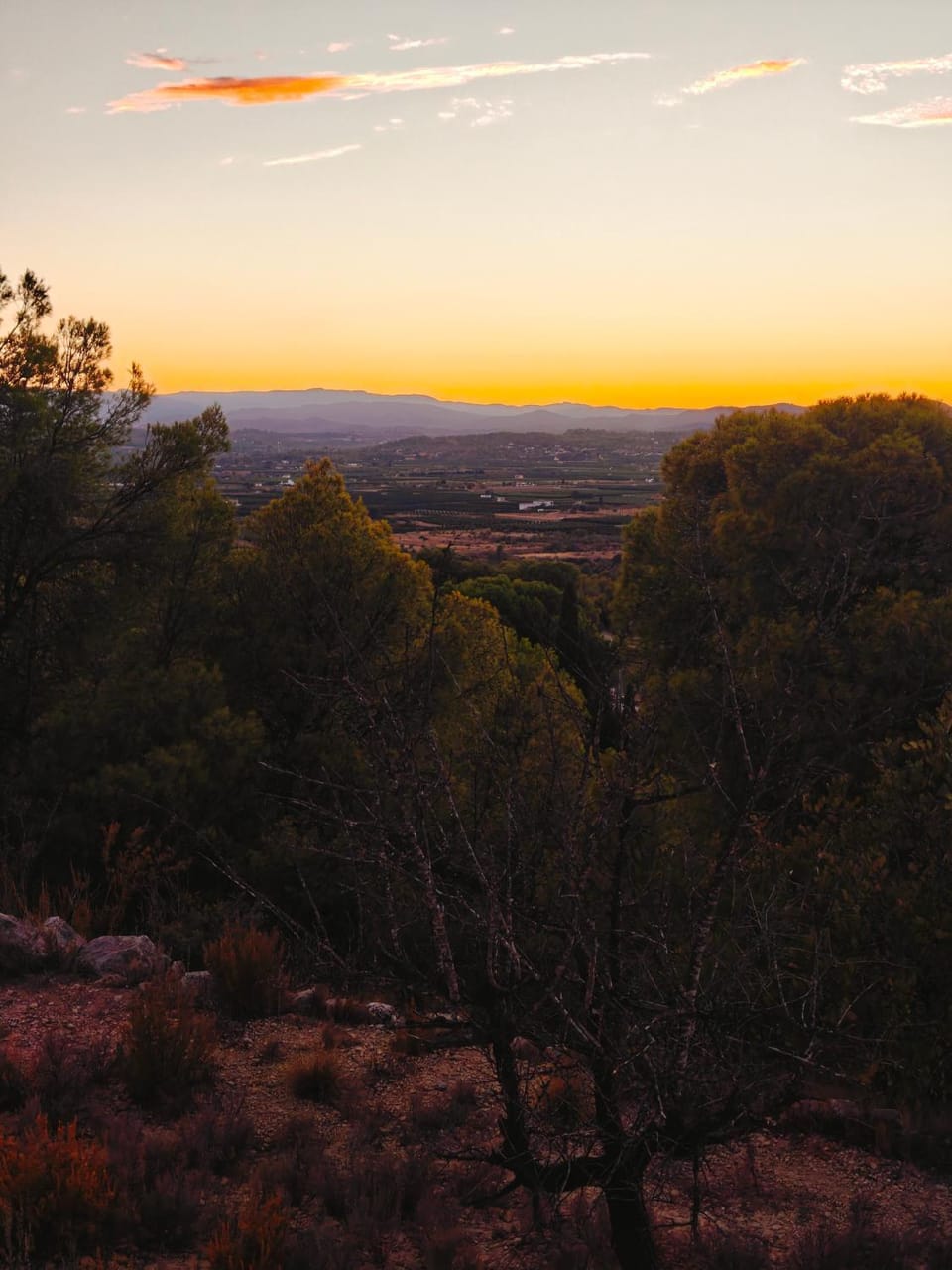 Forest Retreat Naturally Cool, Stunning Views, privacy and an 80M2 Extra-Large Swimming Pool House in Valencian Community