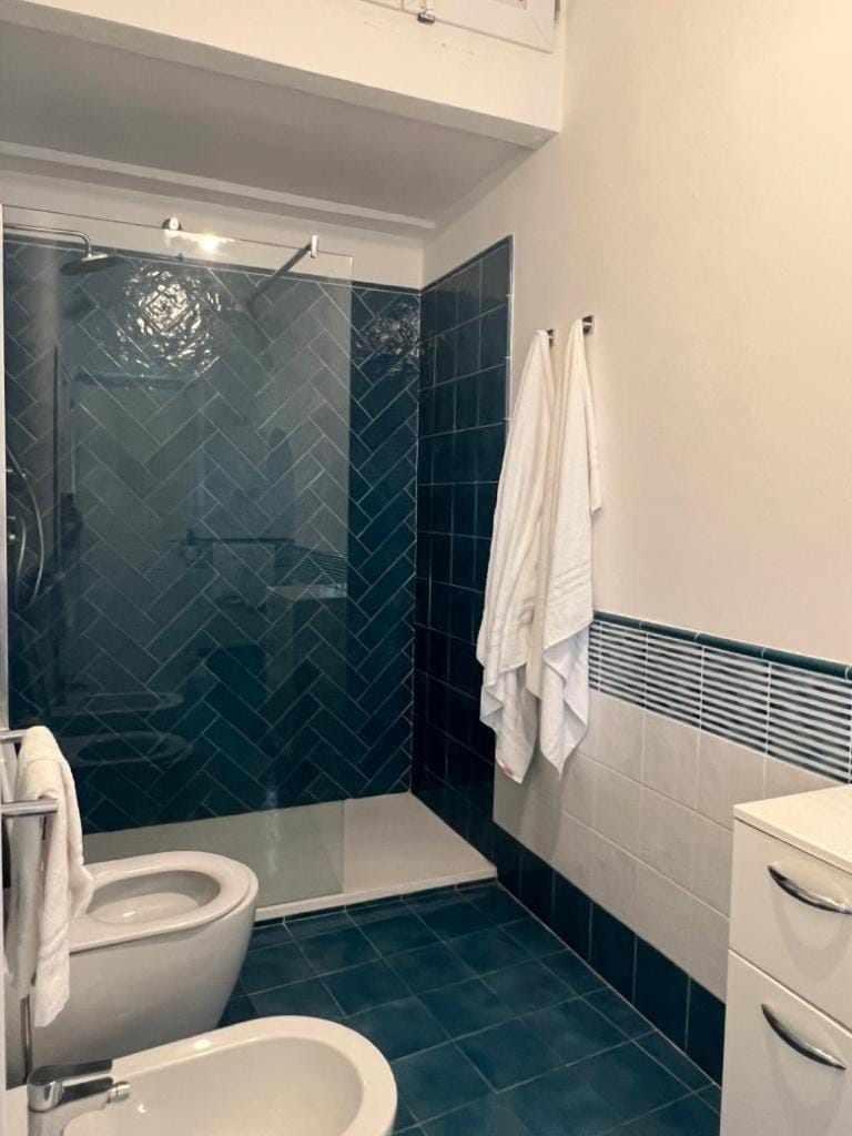 Shower, Toilet, Bathroom, bidet