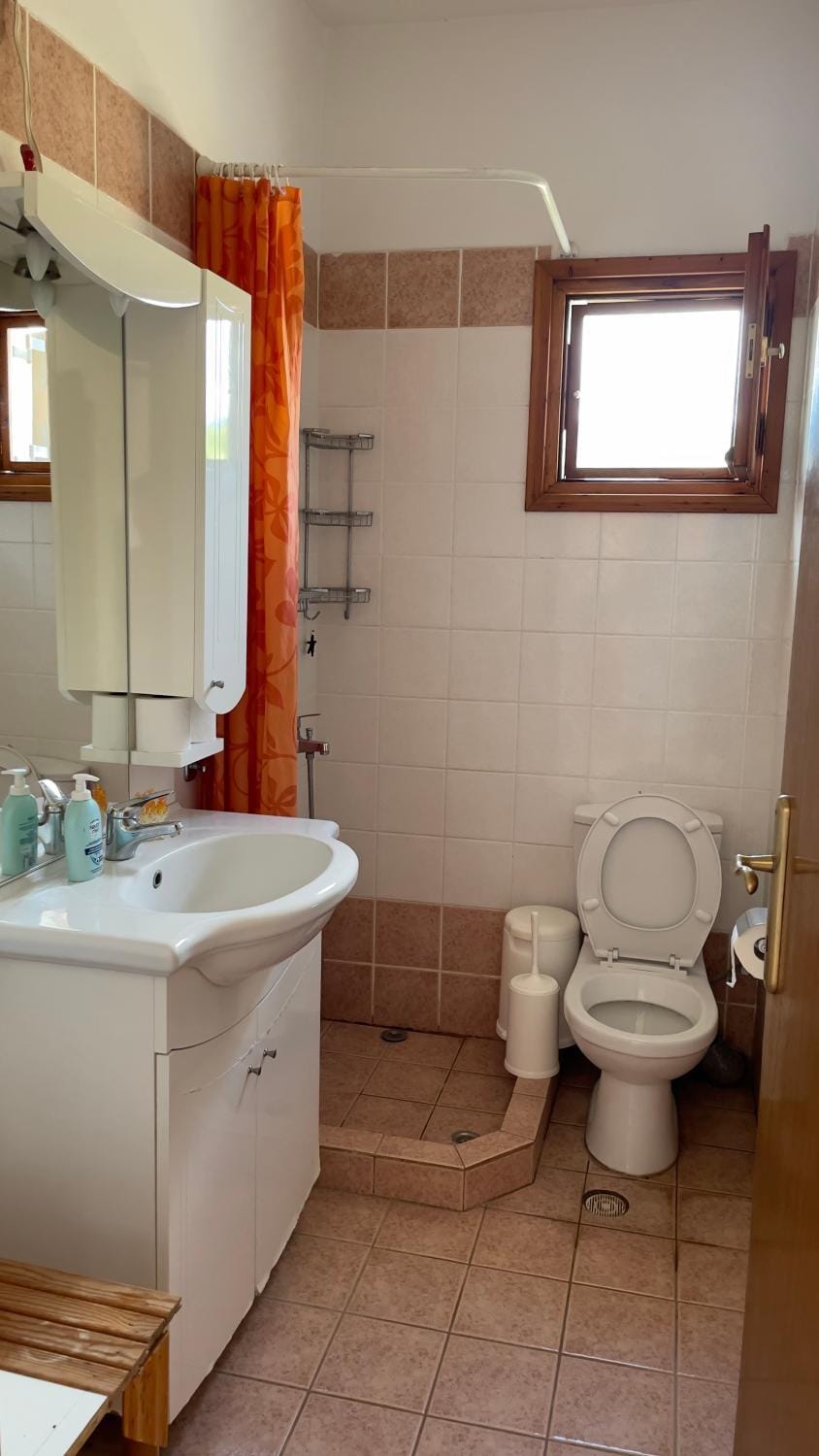 Shower, Toilet, Bathroom, bidet