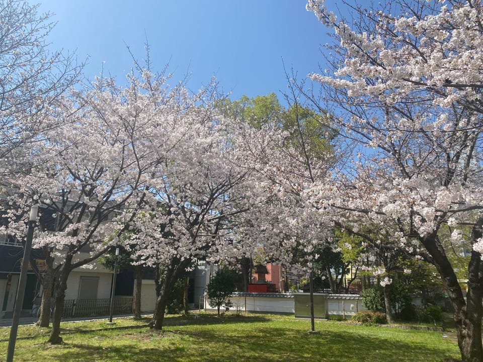 Spring, View (from property/room)