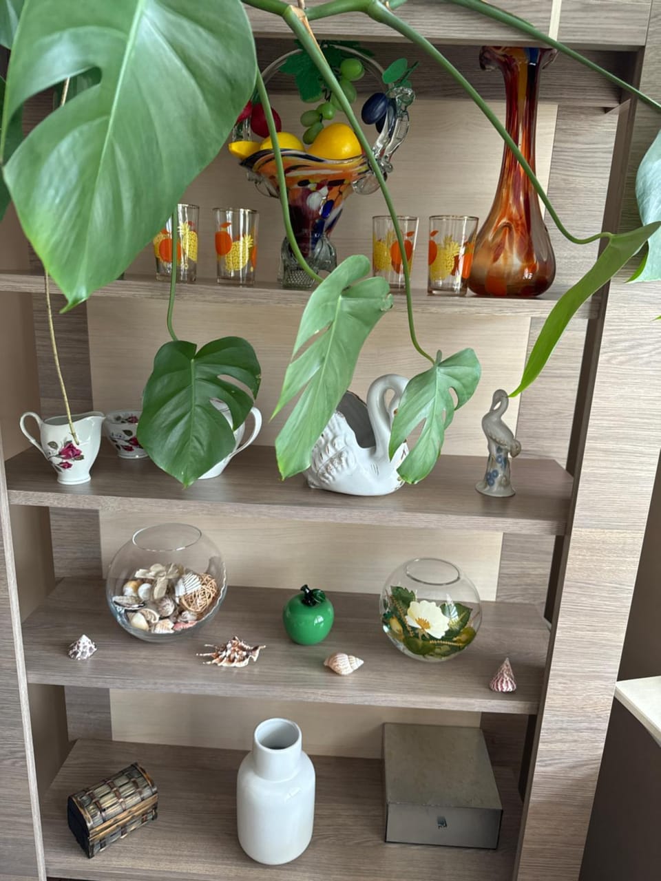 APARTAMENT MAGNOLIA Apartment in Poland