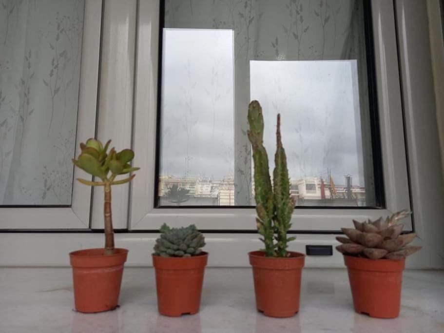 VagelisHome Apartment in Decentralized Administration of Macedonia and Thrace