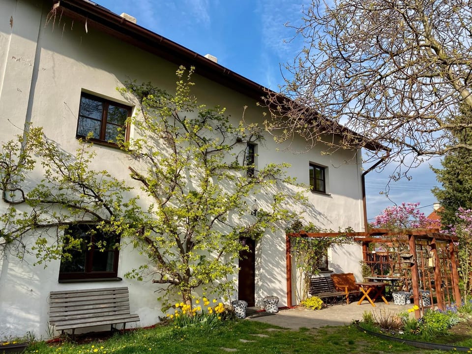 Spring, Garden, Garden view