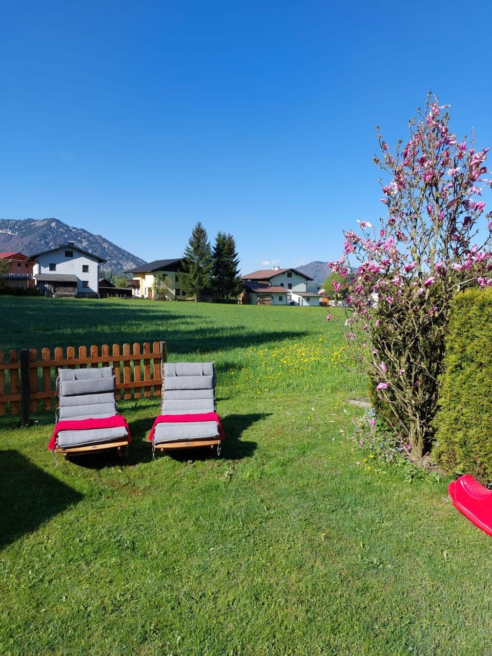 Spring, Day, Natural landscape, Garden, Garden view, Mountain view, sunbed