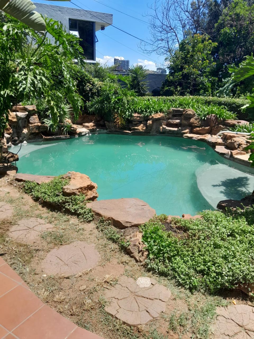 Natural landscape, Pool view