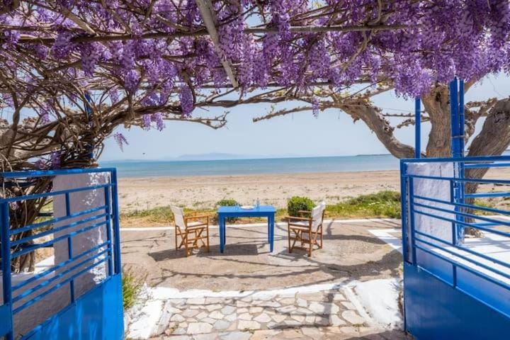 Day, Garden, Balcony/Terrace, Beach, Sea view