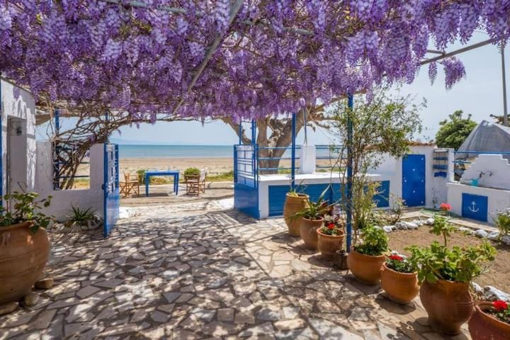 Day, Garden, Garden, Balcony/Terrace, Garden view, Inner courtyard view
