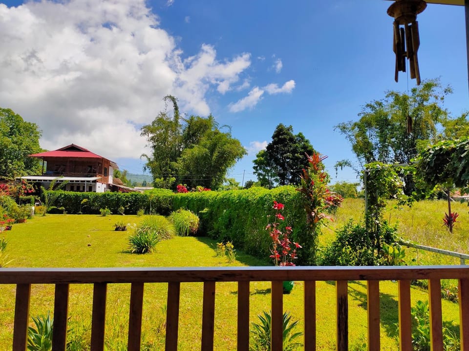 Day, Garden, Garden view
