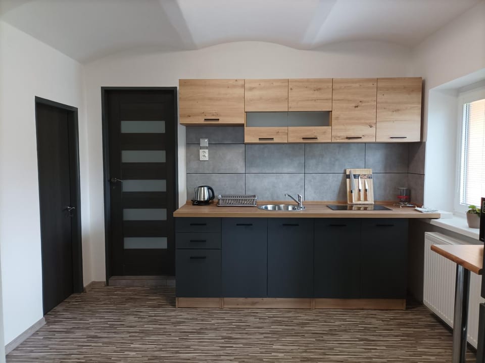 Kitchen or kitchenette, minibar, stove