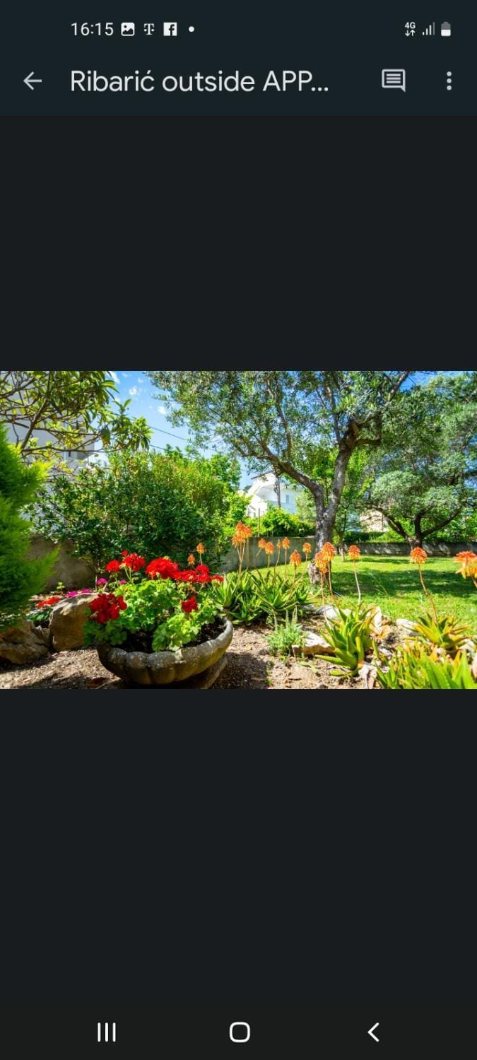Day, Garden, Garden view