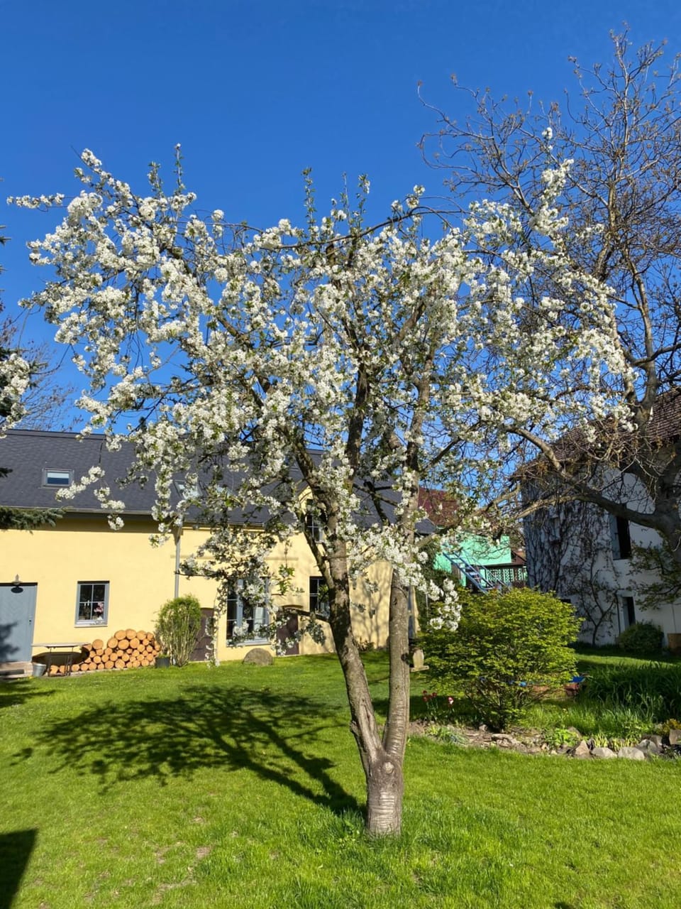 Spring, Day, Garden, Garden view