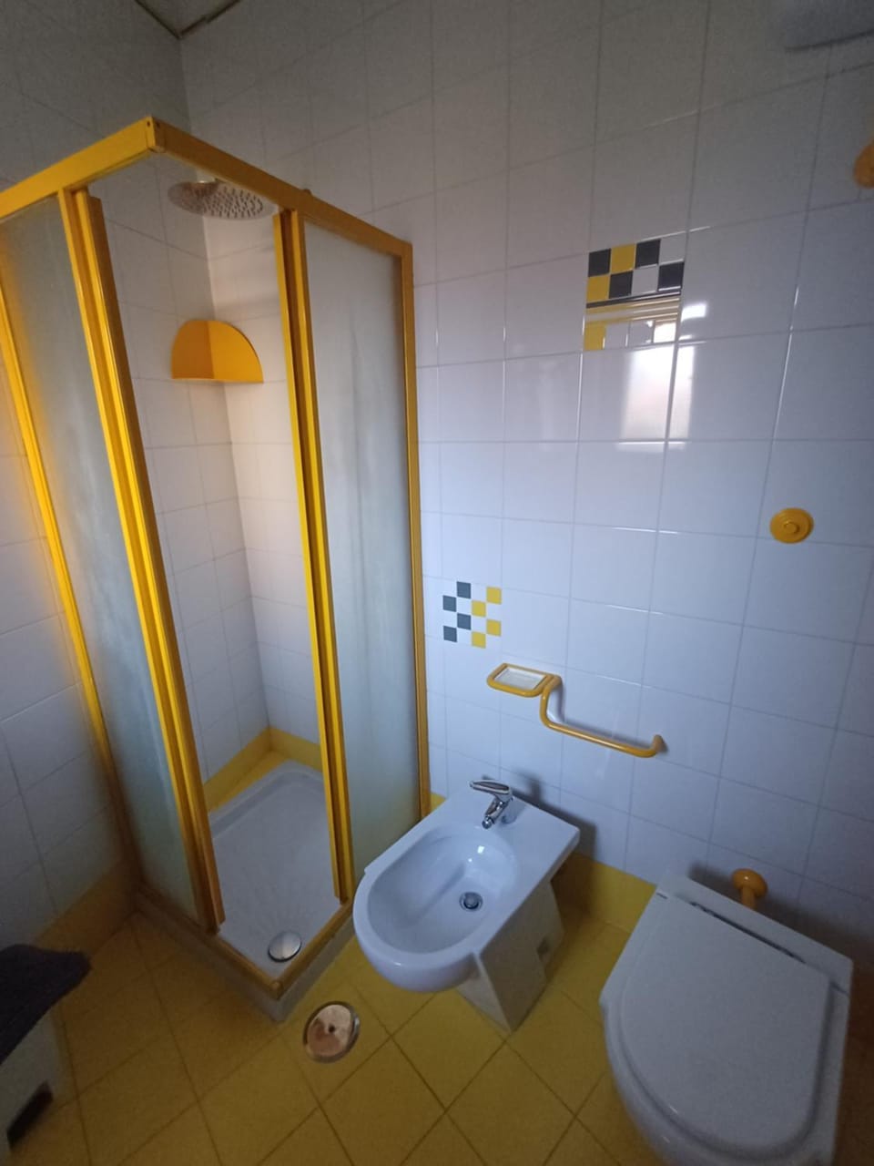 Shower, Toilet, Bathroom, bidet