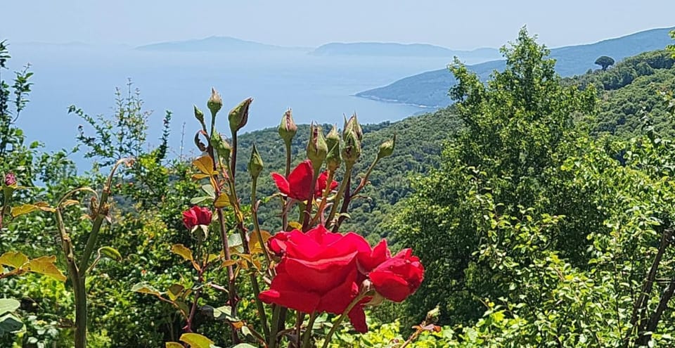 Day, Natural landscape, Summer, Sea view