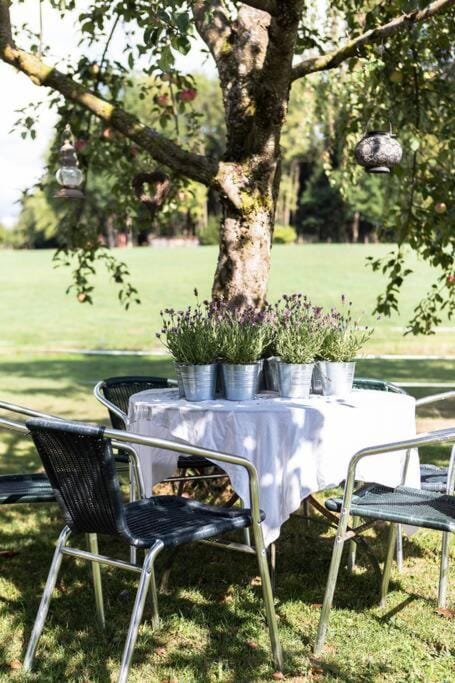 Spring, Day, Natural landscape, Garden, Dining area, Garden view