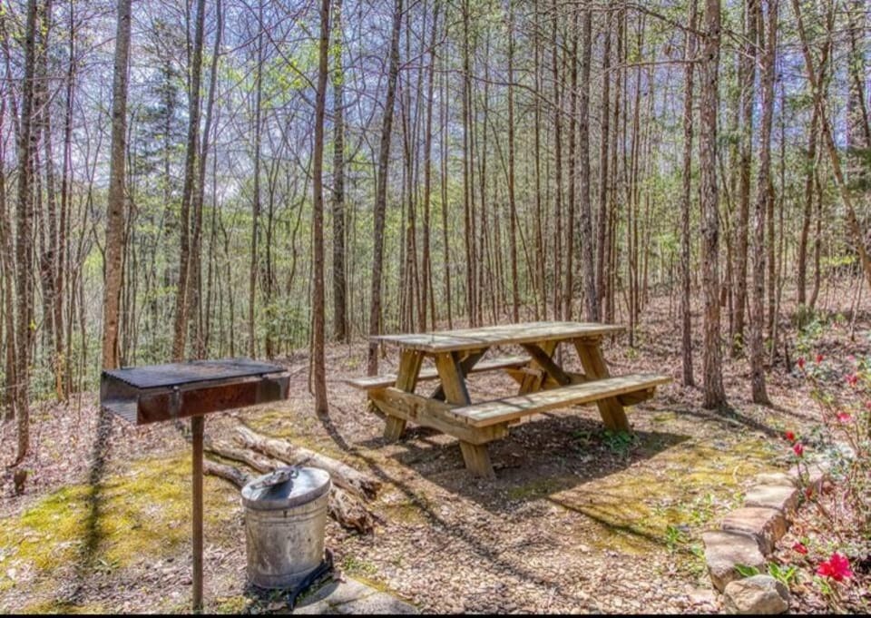 Lazy Bear Cabin Cabin in Sevier County