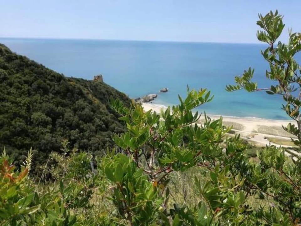 AsceaExperience Rooms Bed and Breakfast in Campania