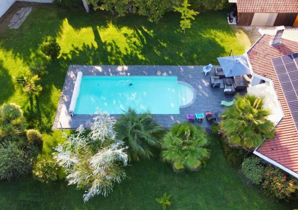 Garden, Garden, Garden view, Pool view, Swimming pool, Swimming pool