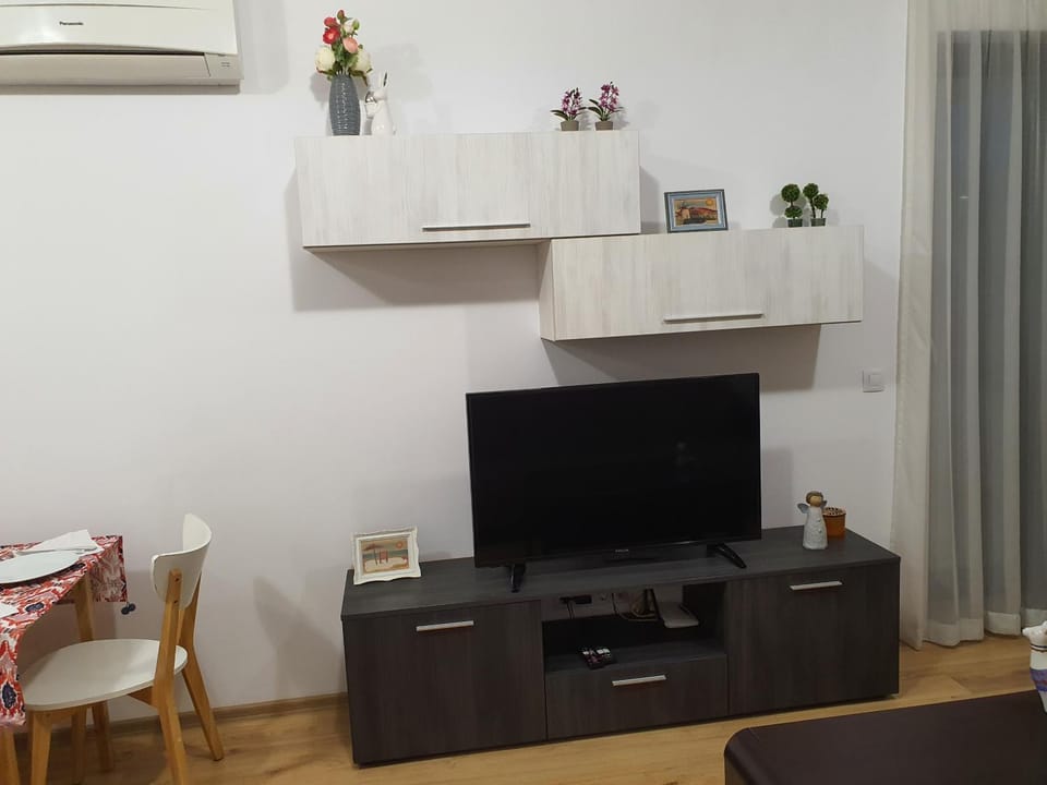 TV and multimedia