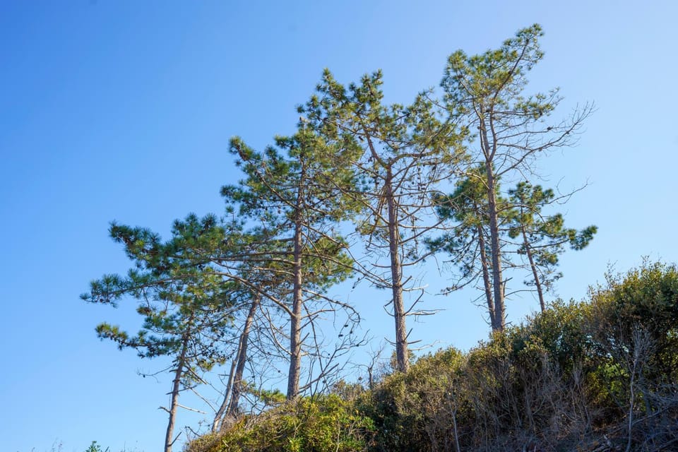 Day, Natural landscape