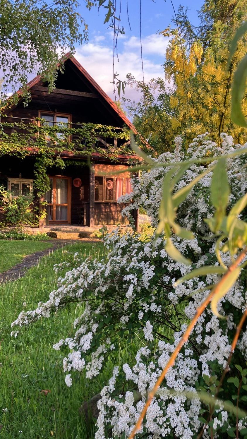 Property building, Natural landscape, Garden