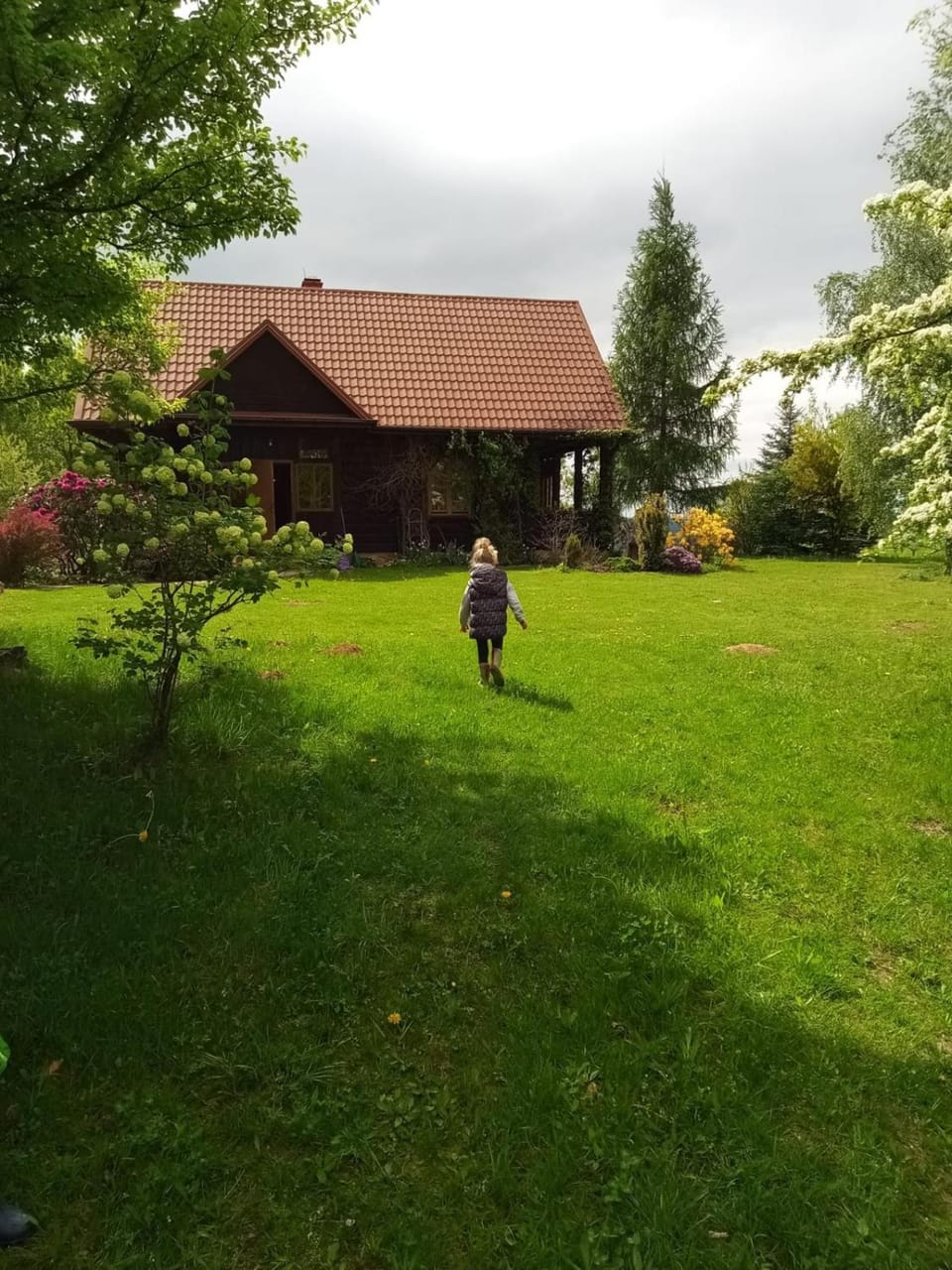 Spring, Natural landscape, Garden