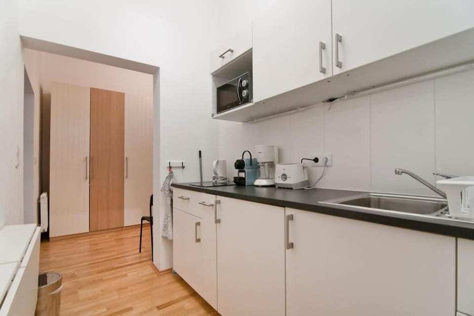Central Apartment Vienna City Center Apartment in Vienna