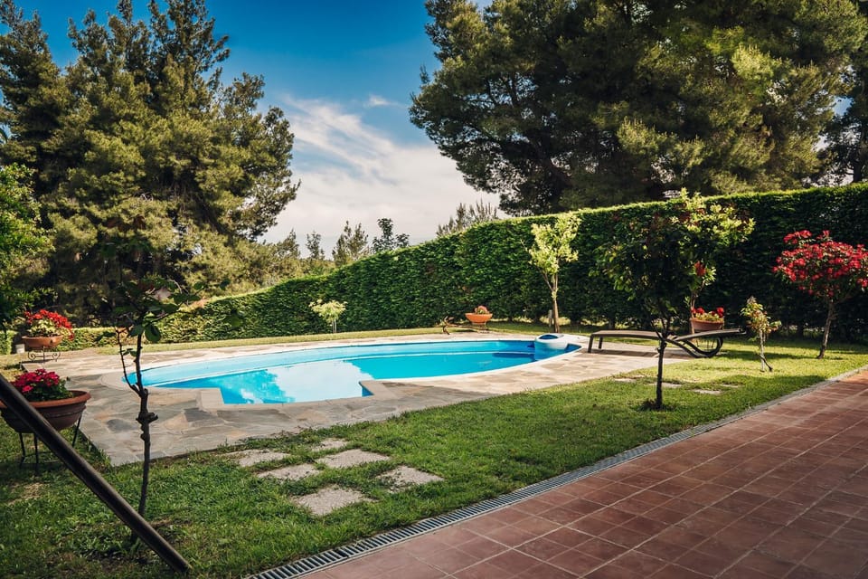 Natural landscape, Garden, Garden view, Pool view, Swimming pool, sunbed