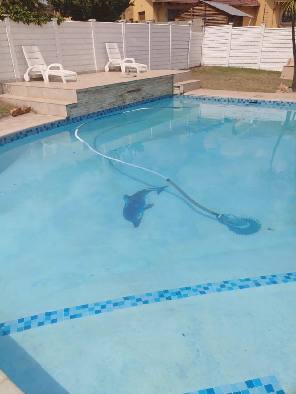 Pool view, Swimming pool, Swimming pool