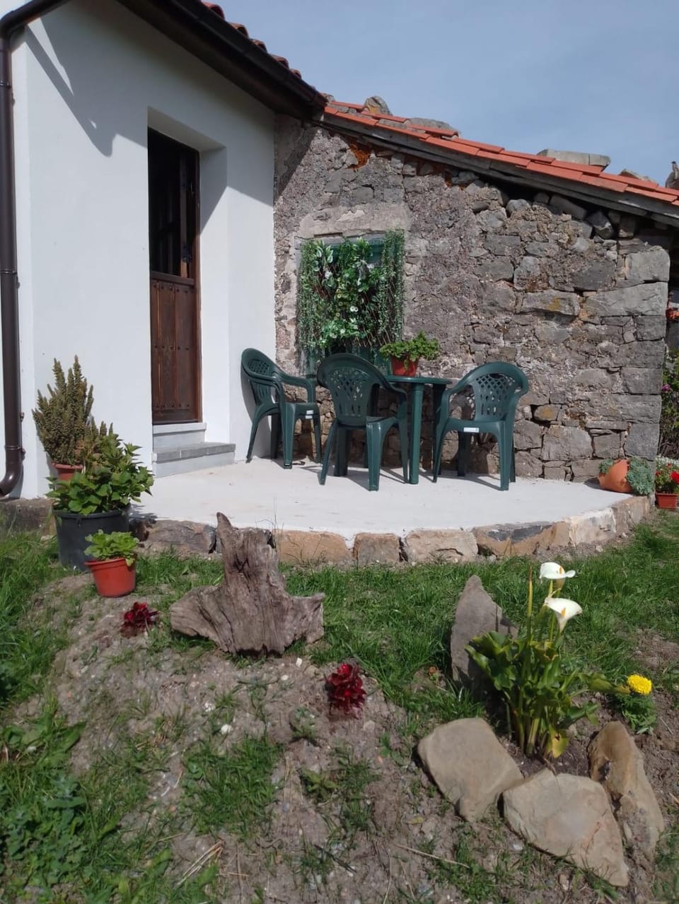 Patio, Patio, Natural landscape, Garden, Garden, Balcony/Terrace, Balcony/Terrace, Animals, Animals, Pets, Pets
