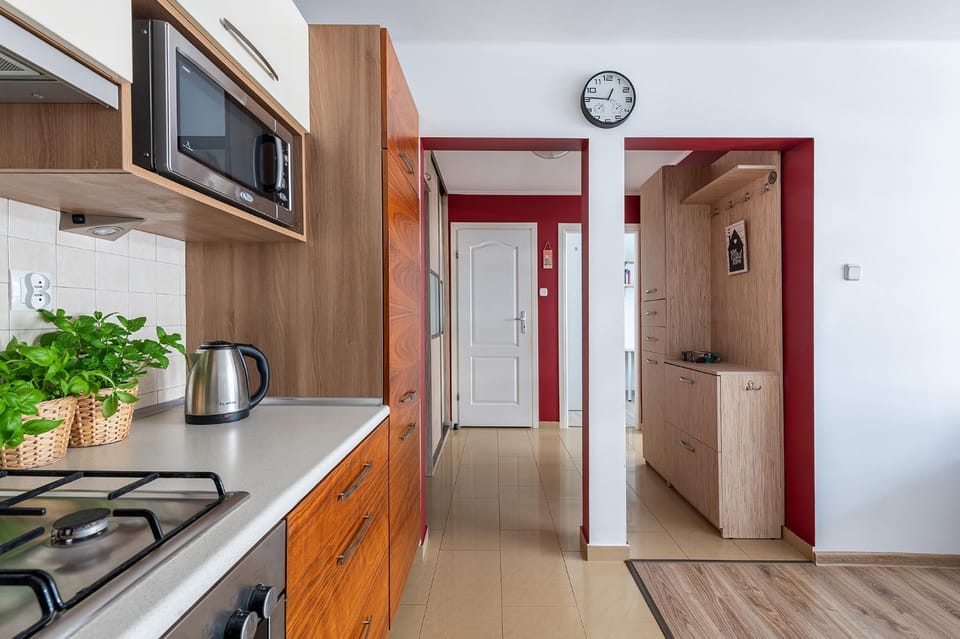 Kitchen or kitchenette, minibar, oven, pet friendly