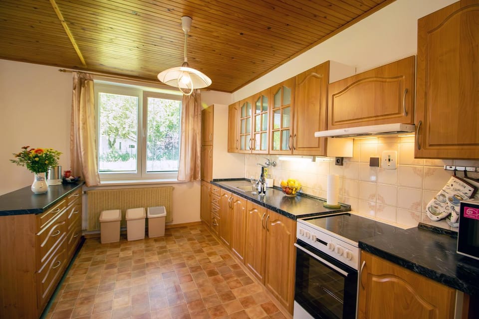 Kitchen or kitchenette, minibar, pet friendly, stove, kitchen