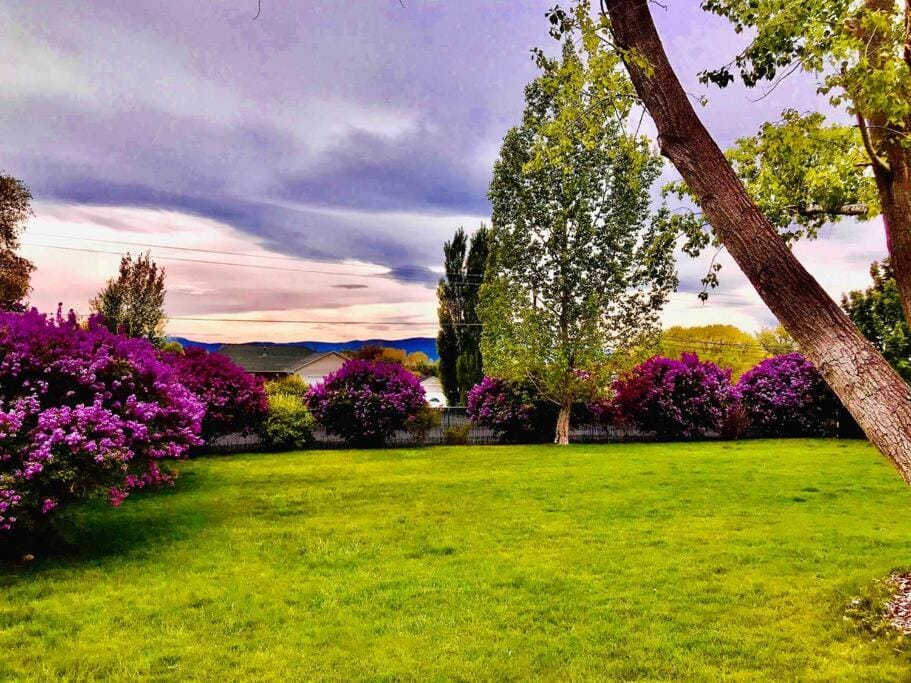Spring, Garden view