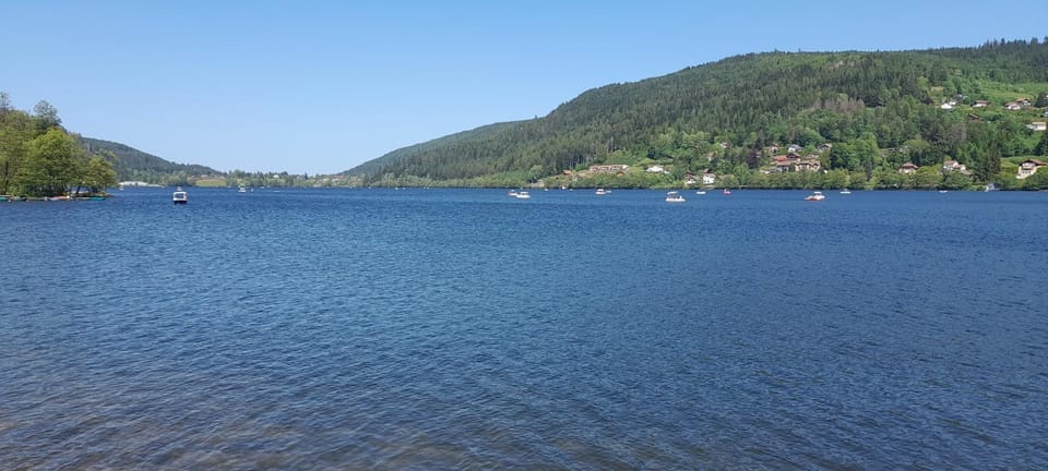 Chalet l'Appel de la Forêt Chalet in Gérardmer