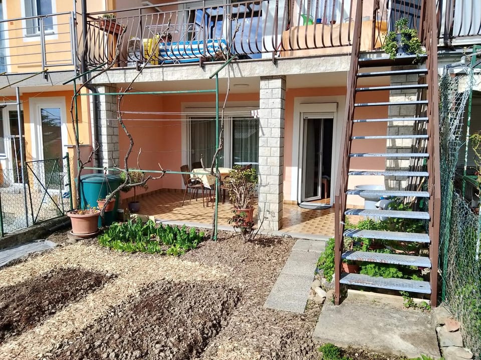 Patio, Garden