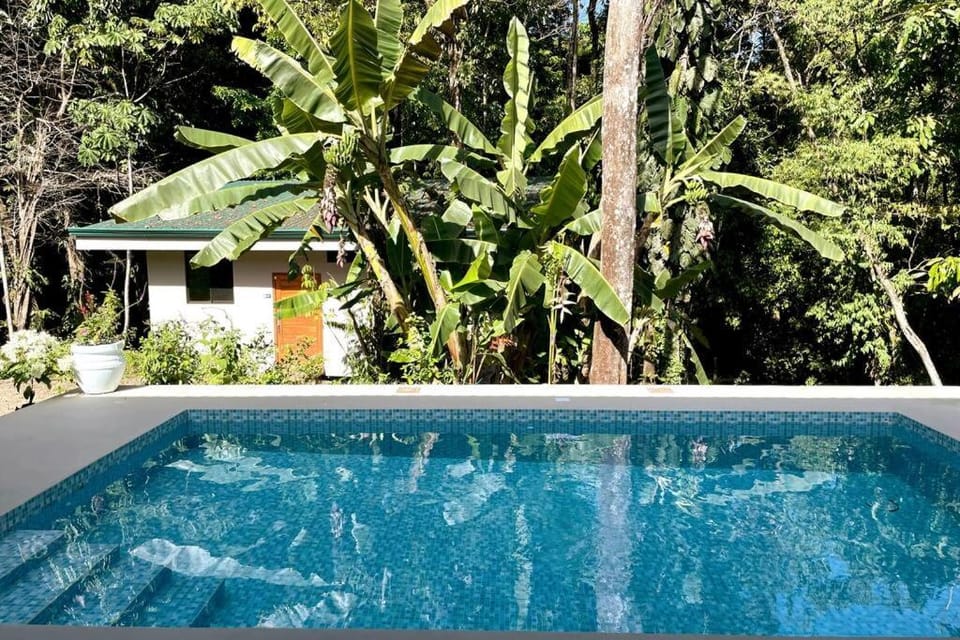 Natural landscape, Garden
