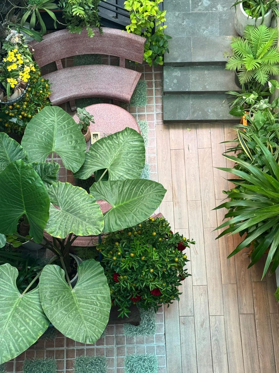 Vania House Bed and Breakfast in Ho Chi Minh City