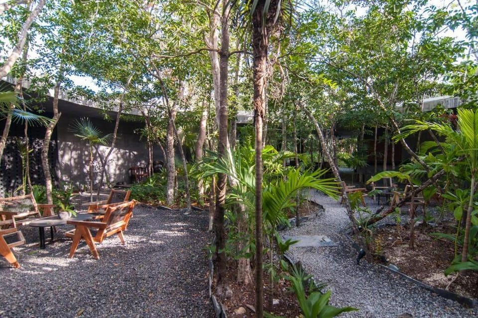 Spectacular Villa Gaia/PH/private pool Apartment in Tulum